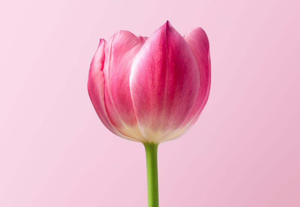 Featured-5